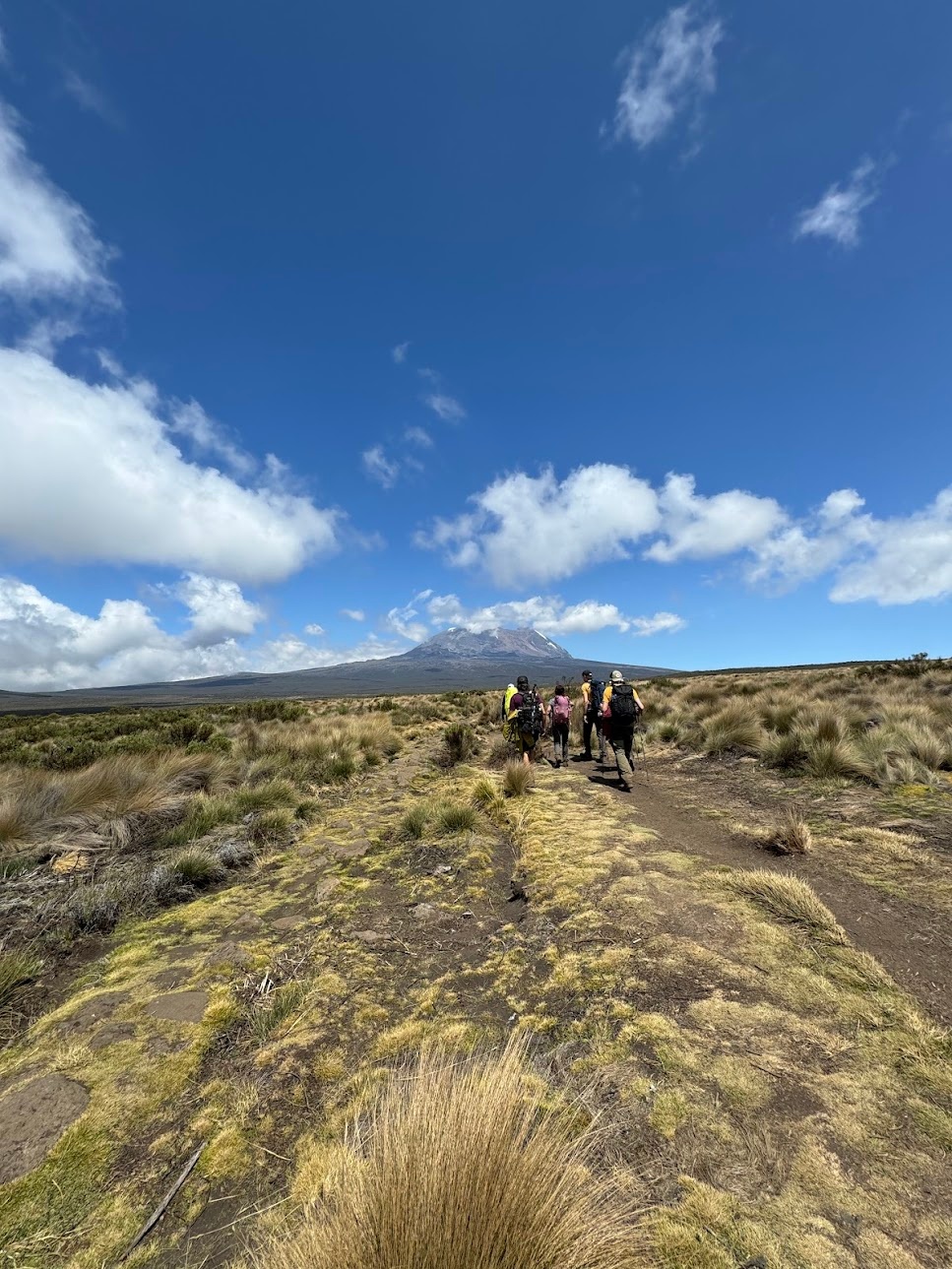 Crossing the Shira plateau towards Shira I camp