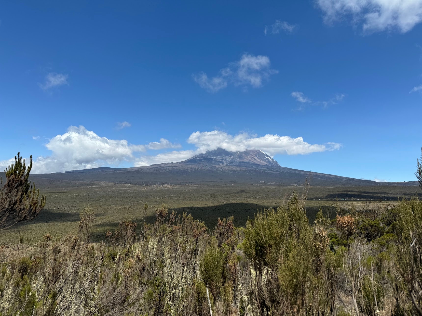 Kilimanjaro peak beyond the Shira plains, with the top hidden by clouds