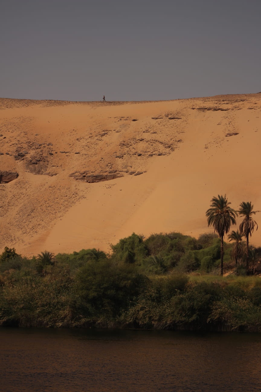 River bank in the Nile, a line of trees separating the waters from the sand dune