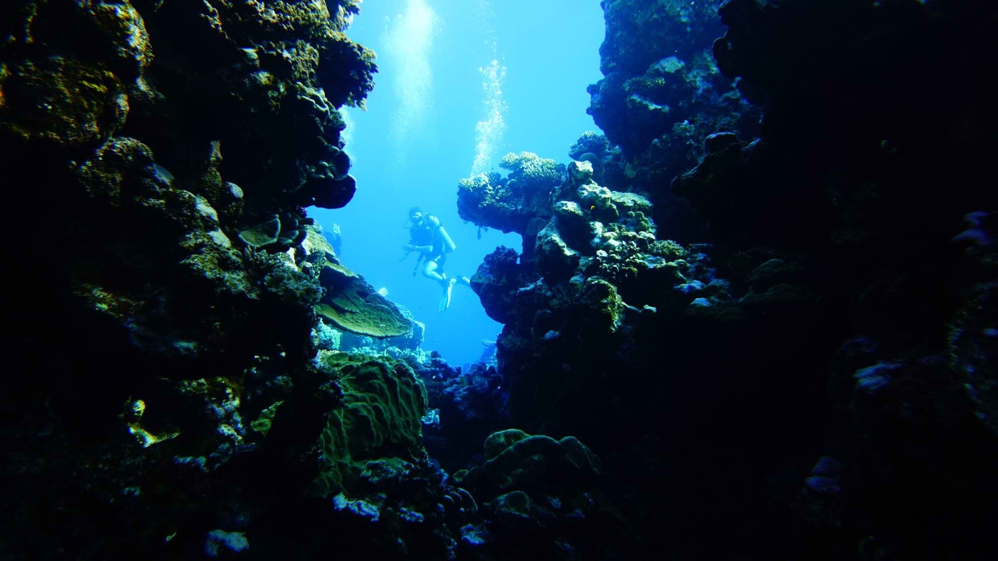 A scuba diver seen from a distance in an opening between two wallks of coral