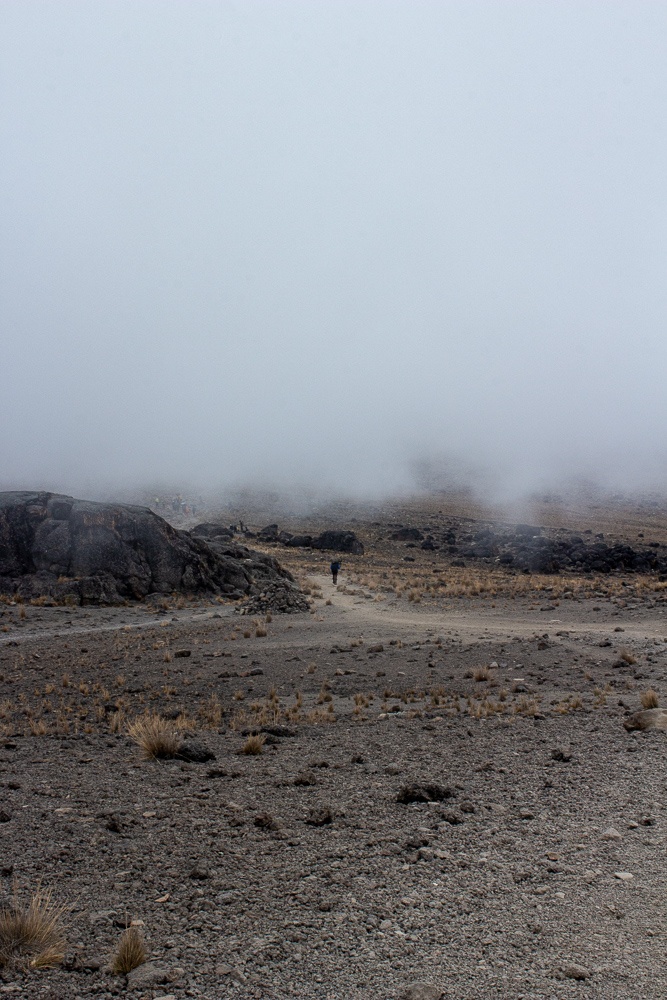 Isolated porter walking torward the foggy horizon