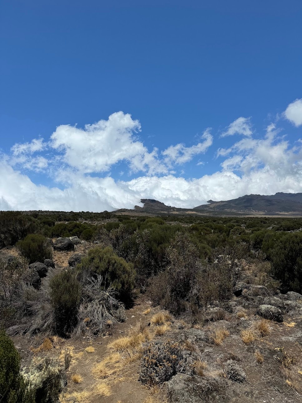 Low clouds taking over the land covered in small bushes