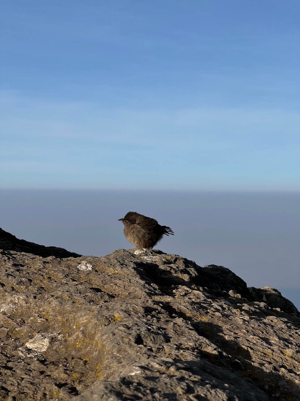 Cioga, Ana and a bird stading in a rock enjoying the view