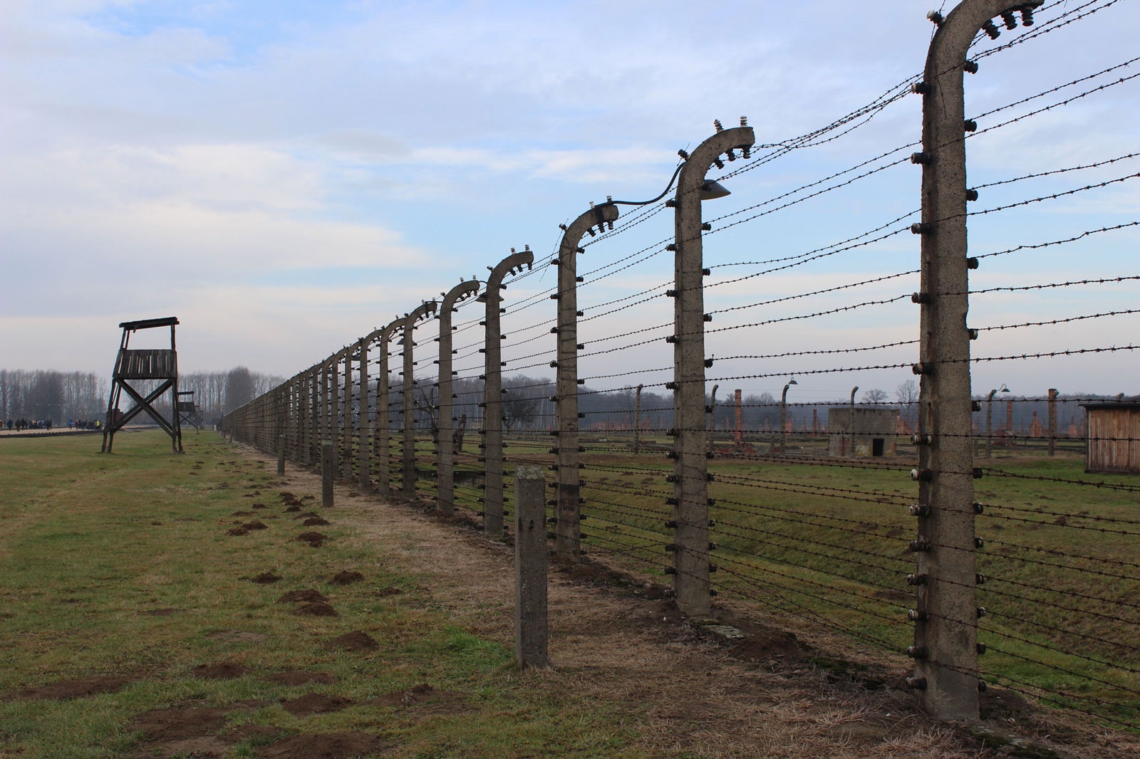 Fence and watchtower at Birkenau