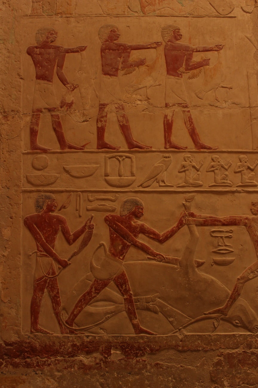 Decorated wall inside of the Saqqara Tombs, representing aggriculture and livestock rituals