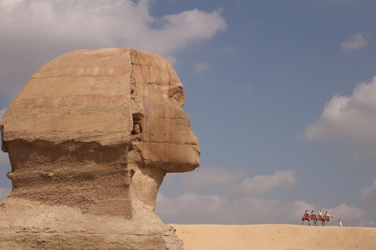 A profile photo of the Great Sphinx, with four camels on the background behind chartered by tourists.