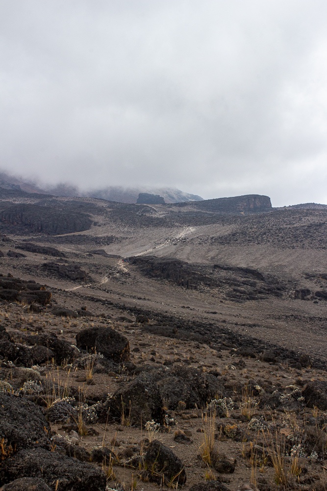 Arrid path leading to the Lava Tower