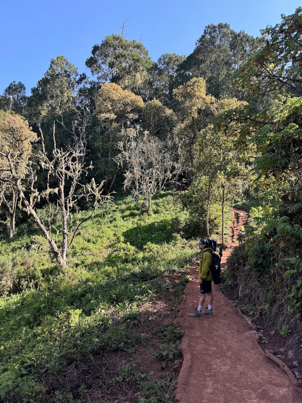 Cioga stopped at the trail path, taking in the view