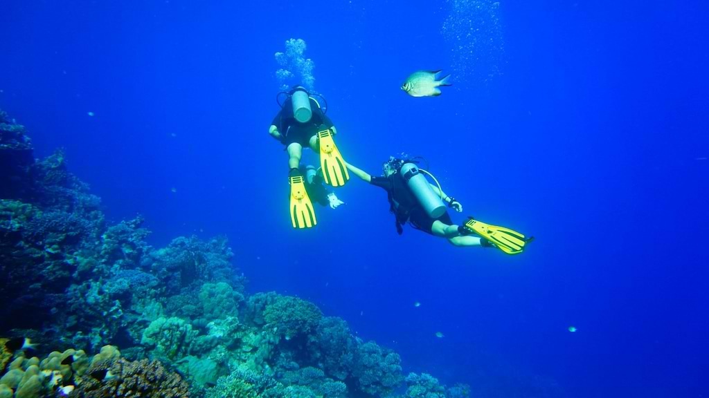 Two scuba divers in the distance, floating above a floor of corals