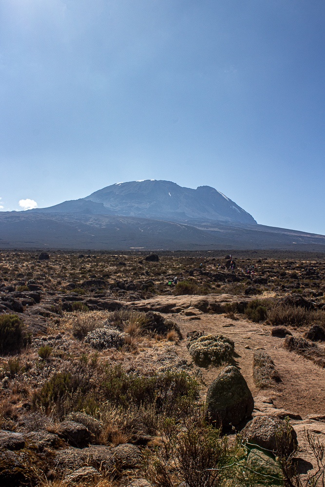 Porters and hikers traversing the Shira plateau