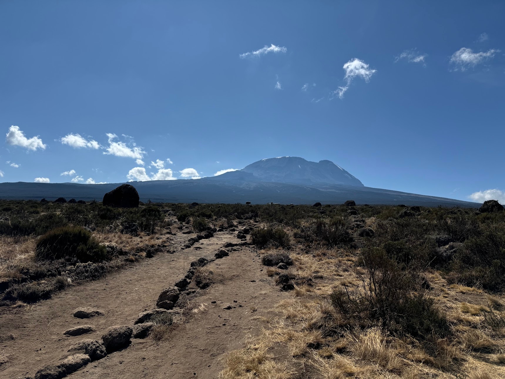 Kilimanjaro peak rising in the horizon, beyond the Shira plateau